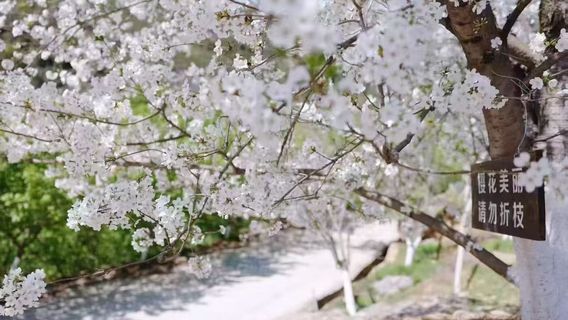 Yannan Yiyuan Garden