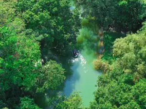 Vuna Scenic Area