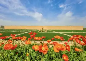 오직 허난 연극환성 극장