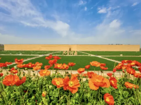 只有河南·戲劇幻城