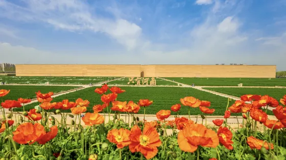 只有河南·戏剧幻城