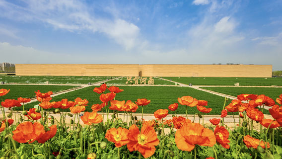 Unique Henan Land of Dramas