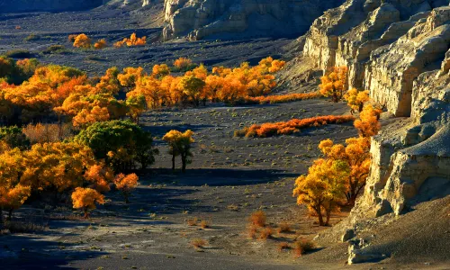 Baiyang River Canyon