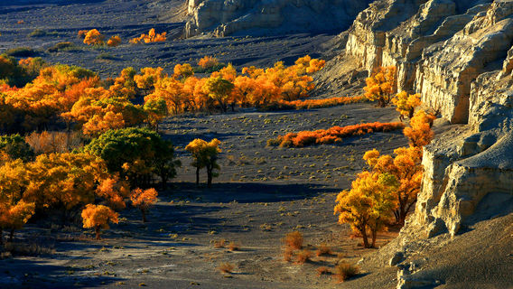 Baiyang River Canyon