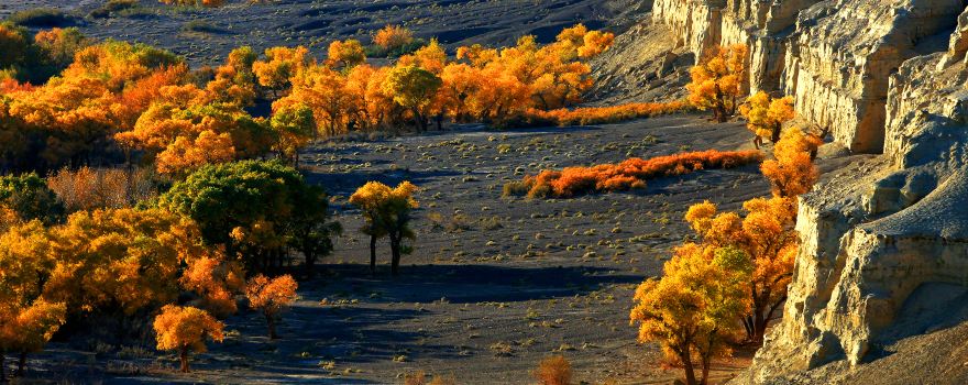 Baiyang River Canyon