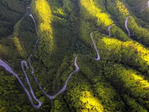 Micang Mountain National Forest Park