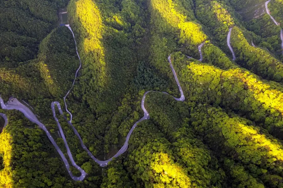 Micang Mountain National Forest Park