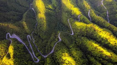 Micang Mountain National Forest Park