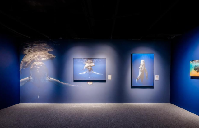 「西南首展」中國國家地理·探索 極致發現科學藝術影像展 | 昆明