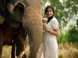 Elephant Jungle Sanctuary Phuket