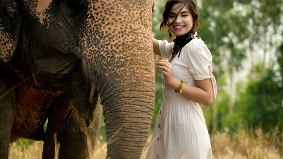 Elephant Jungle Sanctuary Phuket