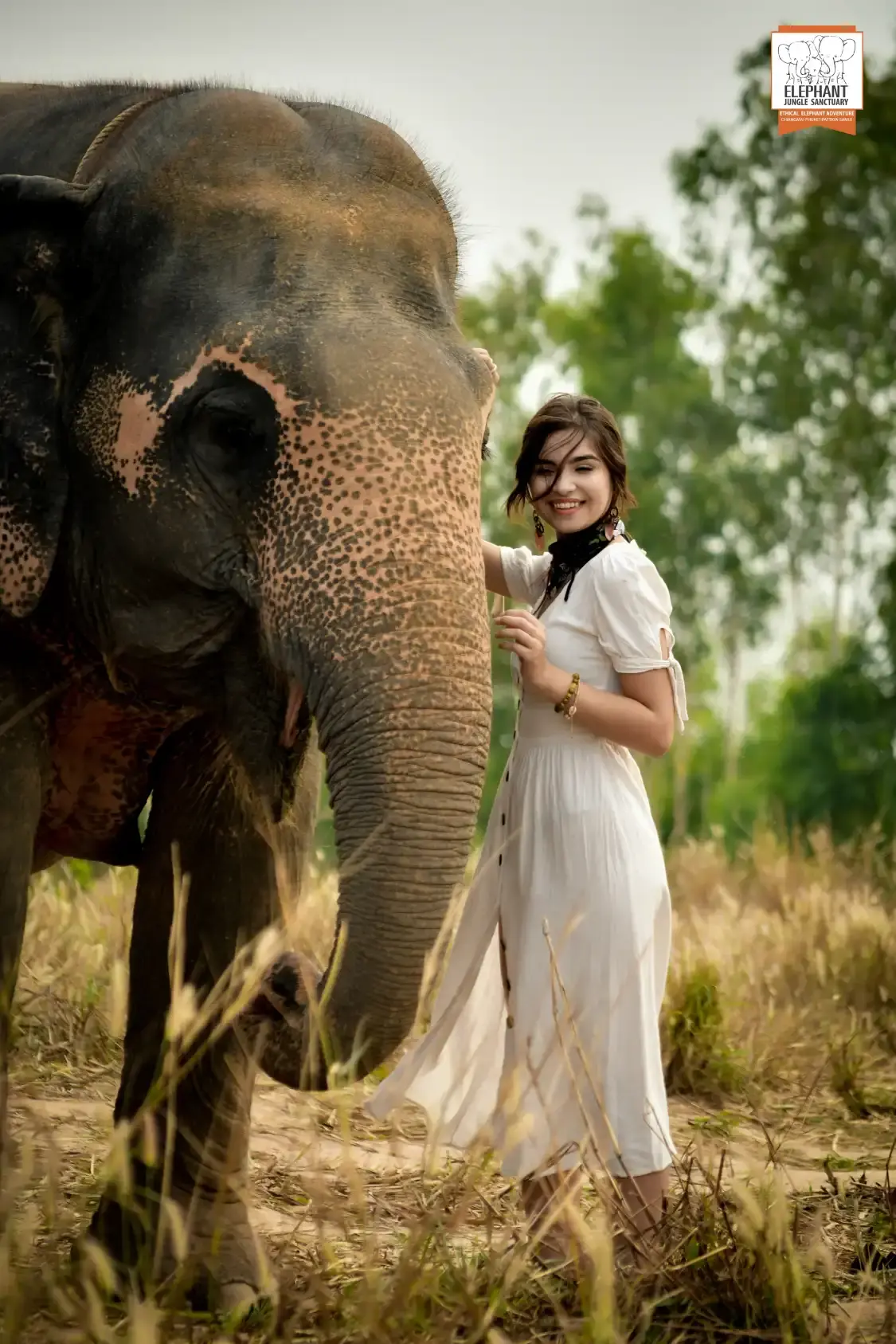 Hotel in zona Santuario degli Elefanti della giungla di Phuket