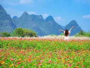 Dongnayuwan Scenic Area