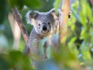 Top 50 Best Things to Do in Queensland