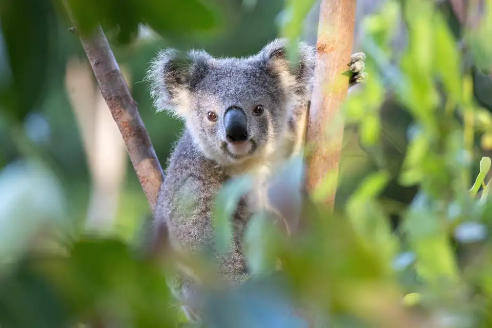 2_Currumbin Wildlife Sanctuary