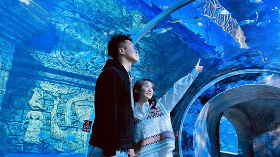 Ningxia Fantasy Ocean Park