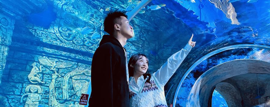 Ningxia Fantasy Ocean Park
