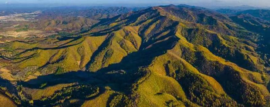 Chengzi Mountain Sceneic Area
