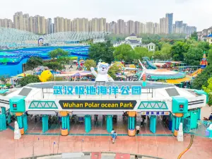 Haihe An Wuhan Polar Ocean Park