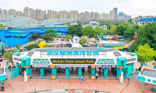 Haihe An Wuhan Polar Ocean Park
