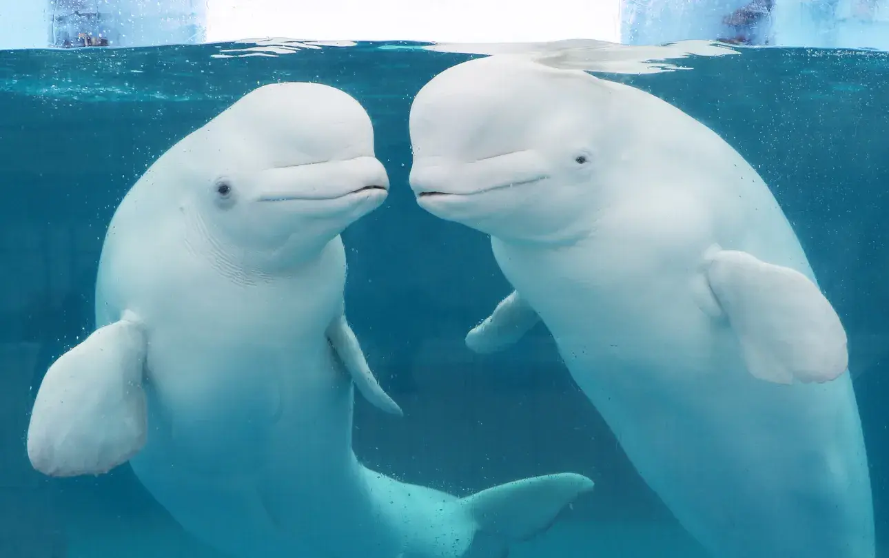 2_八景島海島樂園