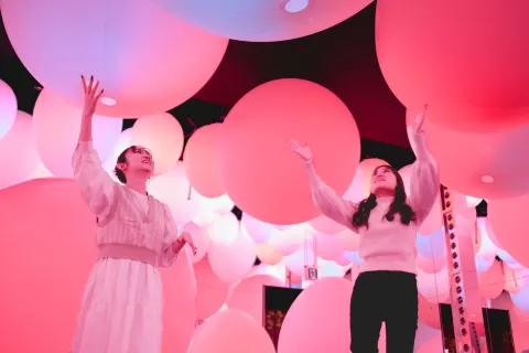 teamLab 포레스트 후쿠오카