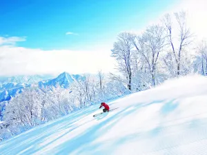 Ishiuchi Maruyama石打丸山滑雪場