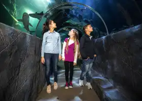 慕尼黑海洋生命水族館
