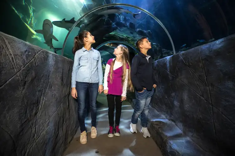 Hotels in der Nähe von SEA LIFE München