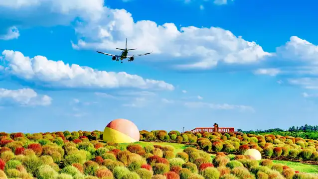 Hotels near Airport Flower Field