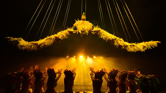 The Romantic Show of Lijiang