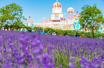 Popular Spring Outings in Shanghai