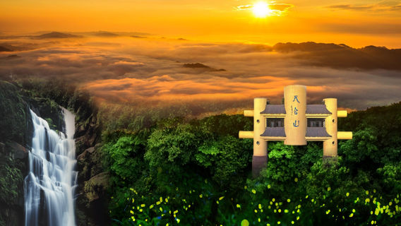 Tiantai Mountain Fireflies