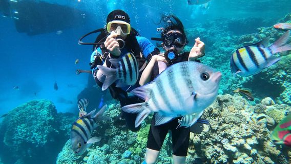 Snorkeling or Scuba Diving in Wanning