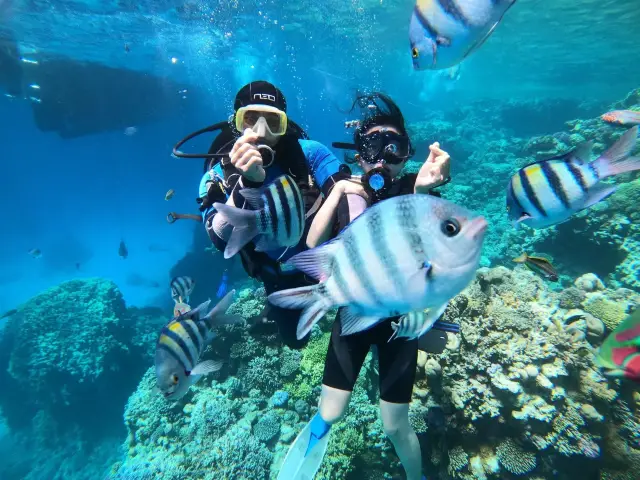 Scuba Diving in Wanning