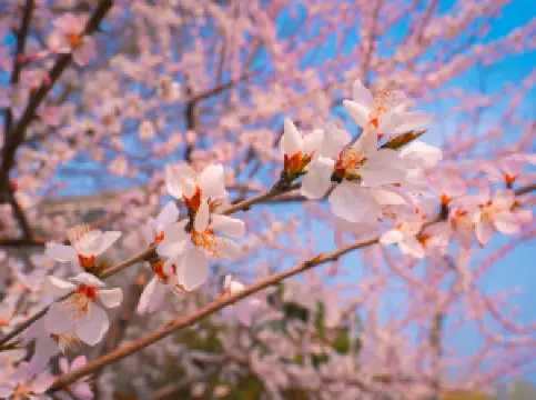 Tangshan Nan Hu Kailuan Scenic Area