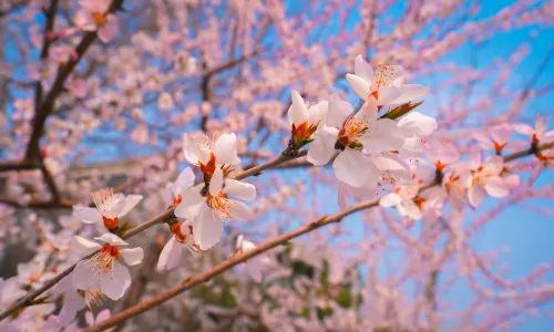 Tangshan Nan Hu Kailuan Scenic Area
