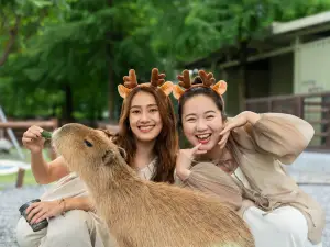BAMBI LAND