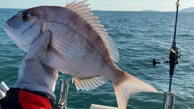 Sea-fishing in Weihai
