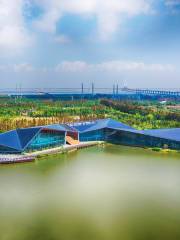 Changxing Island Country Park