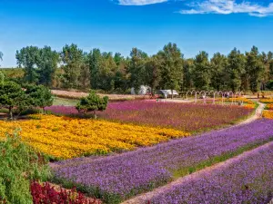 Лесный парк лошади