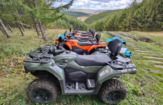 阿爾山氧心森林浴道景區山地電單車票大小同價