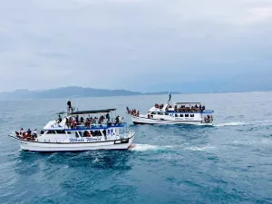 whaleworld Whale Watching Experience in Hualien
