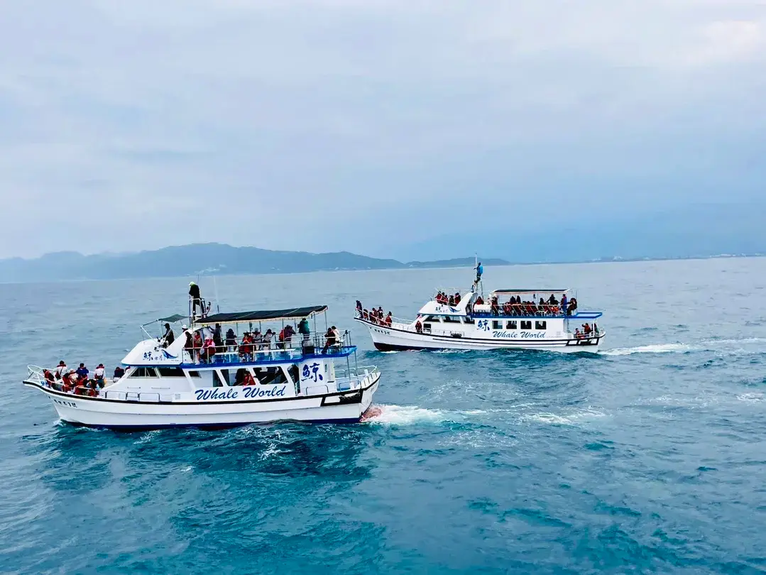 2_whaleworld Whale Watching Experience in Hualien