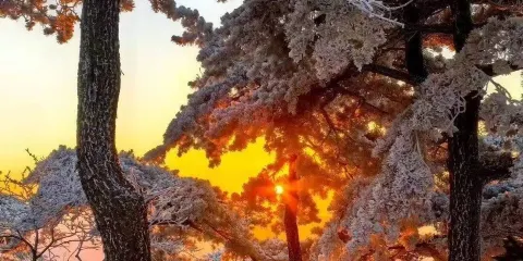 黃浦江源龍王山（長潭村）