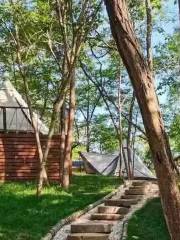 樹右森林帳篷營地