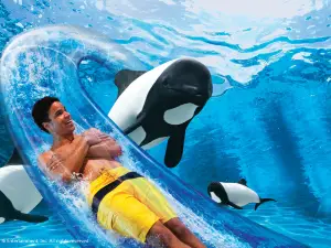 Aquatica Orlando