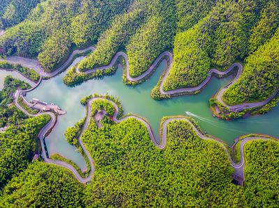 Chishui Bamboo Park