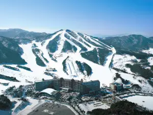 웰리힐리파크 스키장