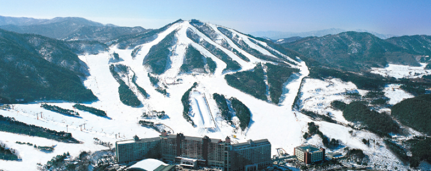 웰리힐리파크 스키장